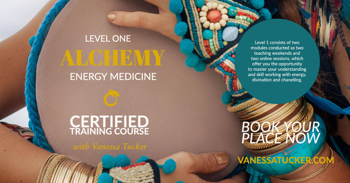 Alchemy Energy Medicine level one
