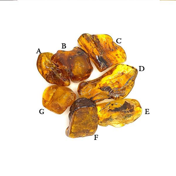 Polished Baltic Amber Pieces