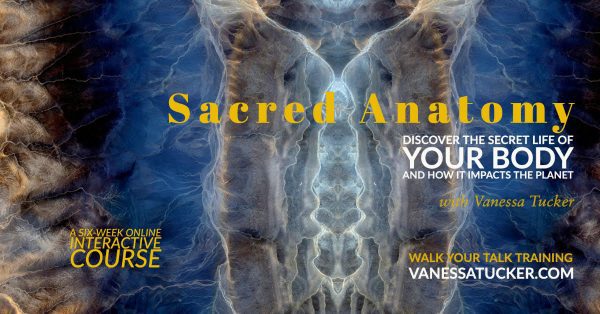 sacred anatomy by Vanessa Tucker
