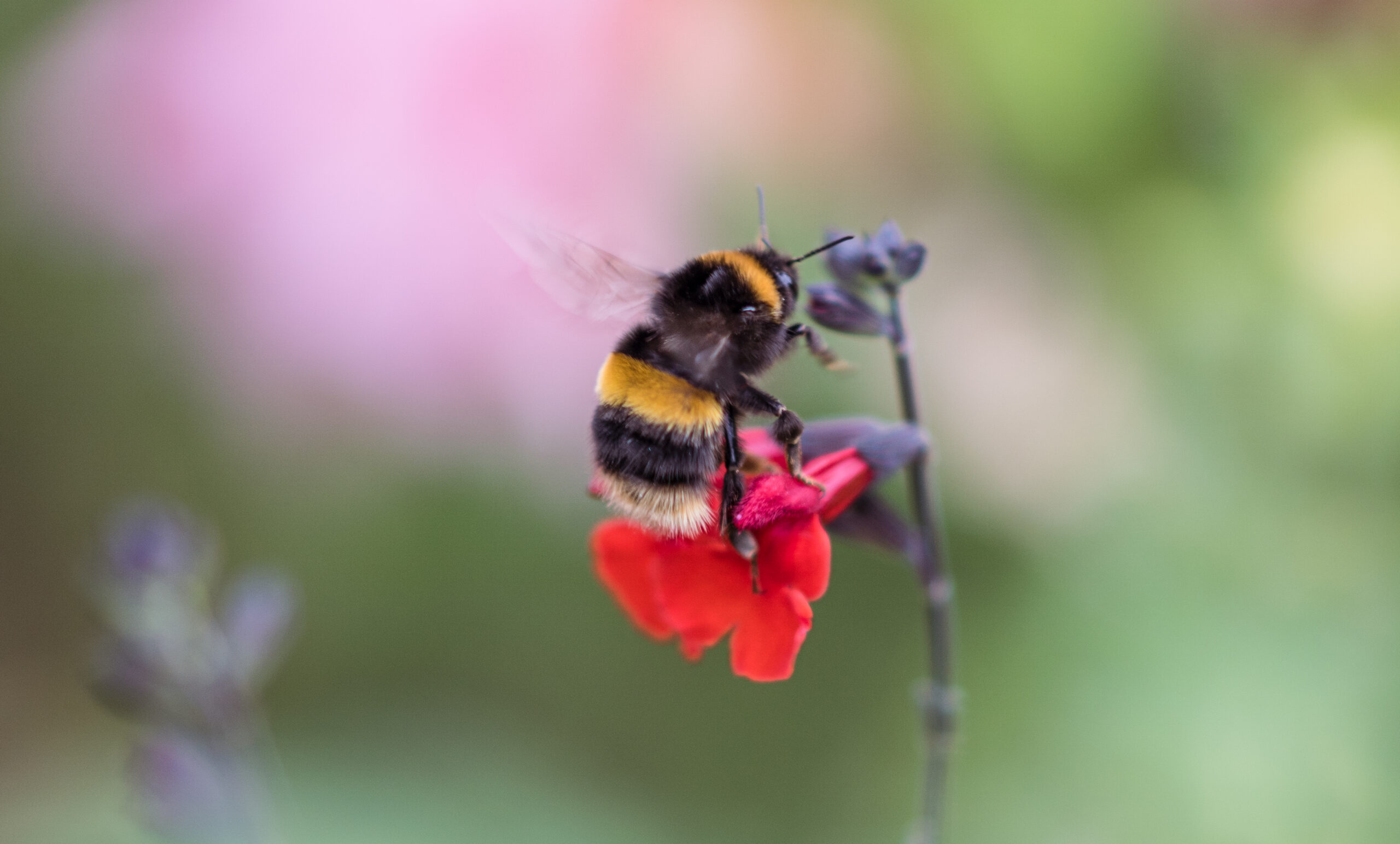 vanessa tucker photography