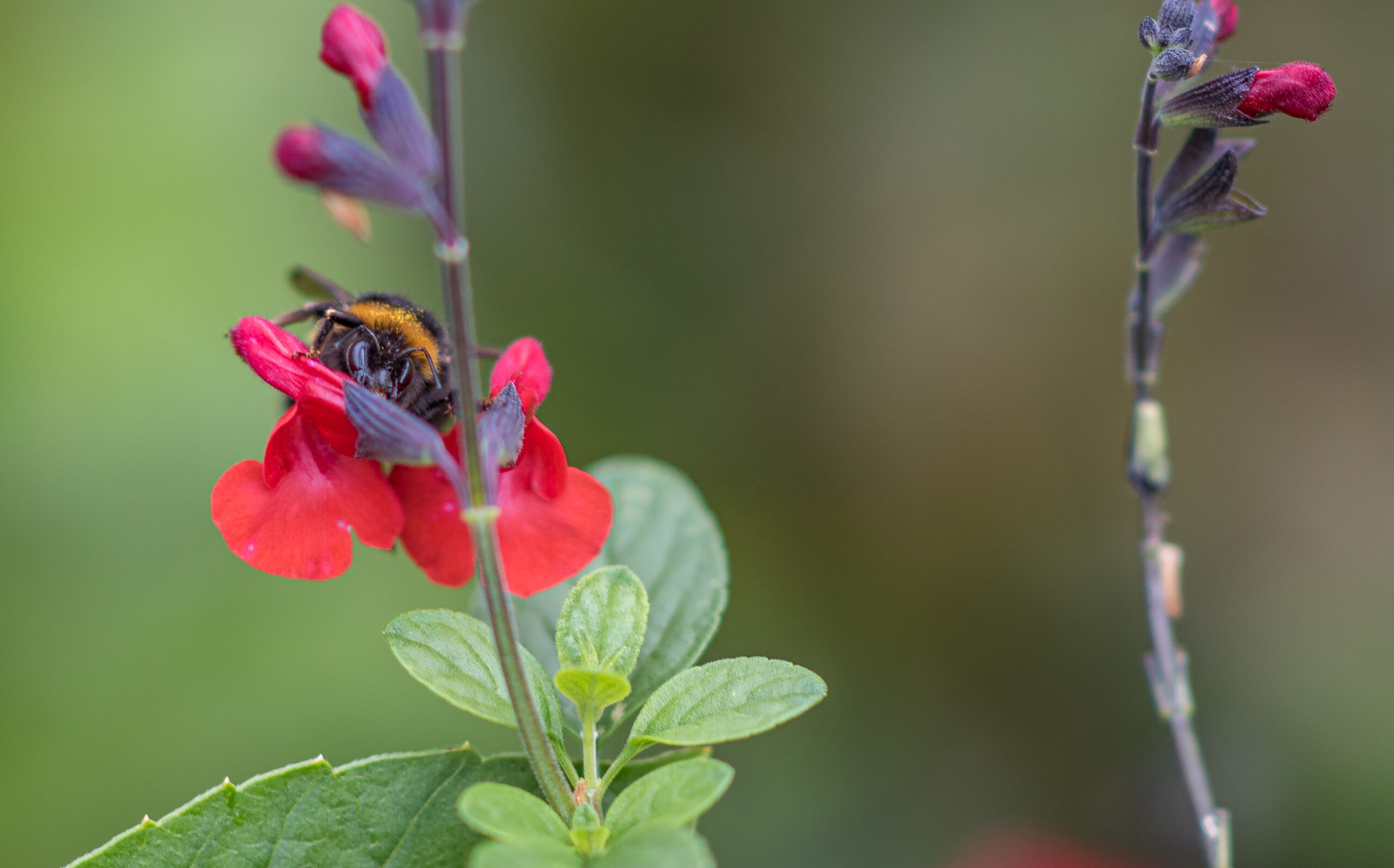 love yourself and the world you inhabit