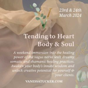 tending to the heart and body - vagus nerve
