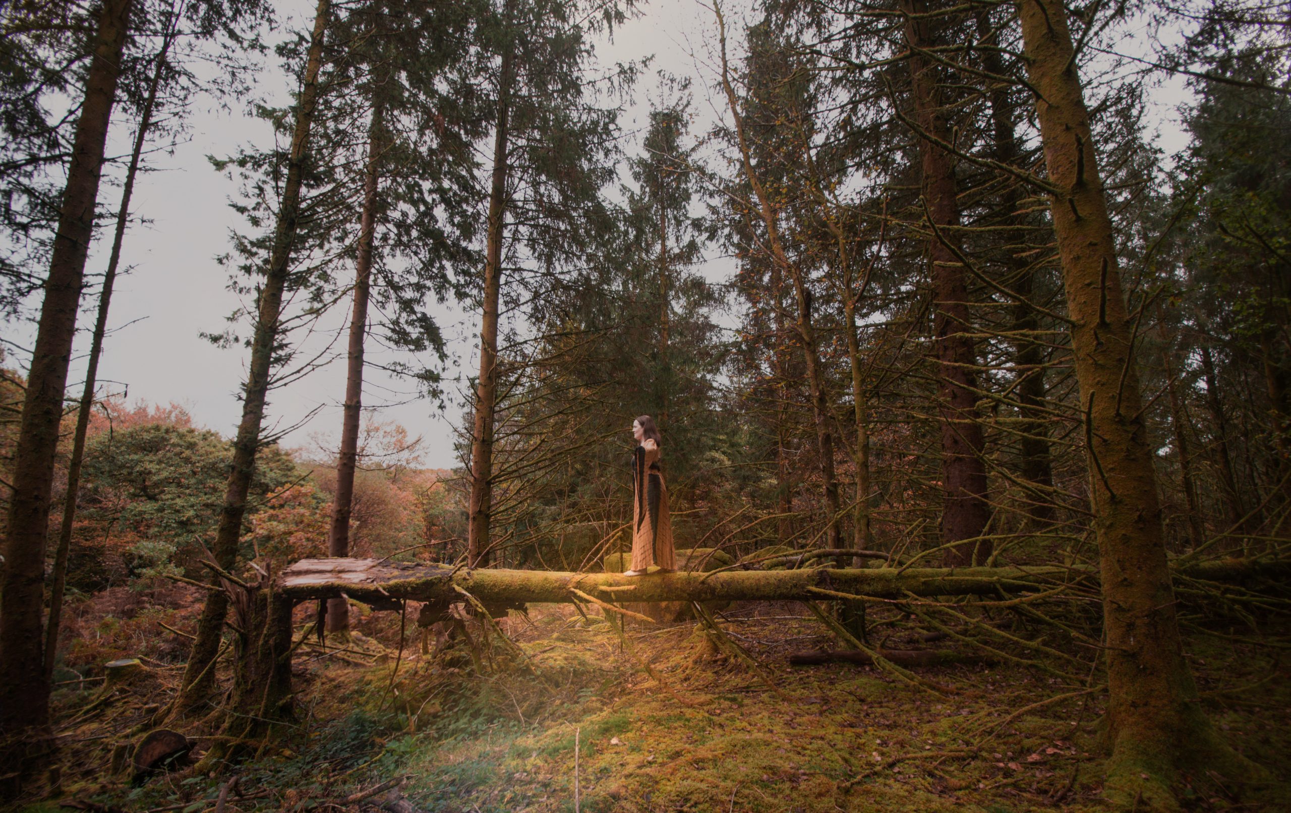 Vanessa Tucker Photography