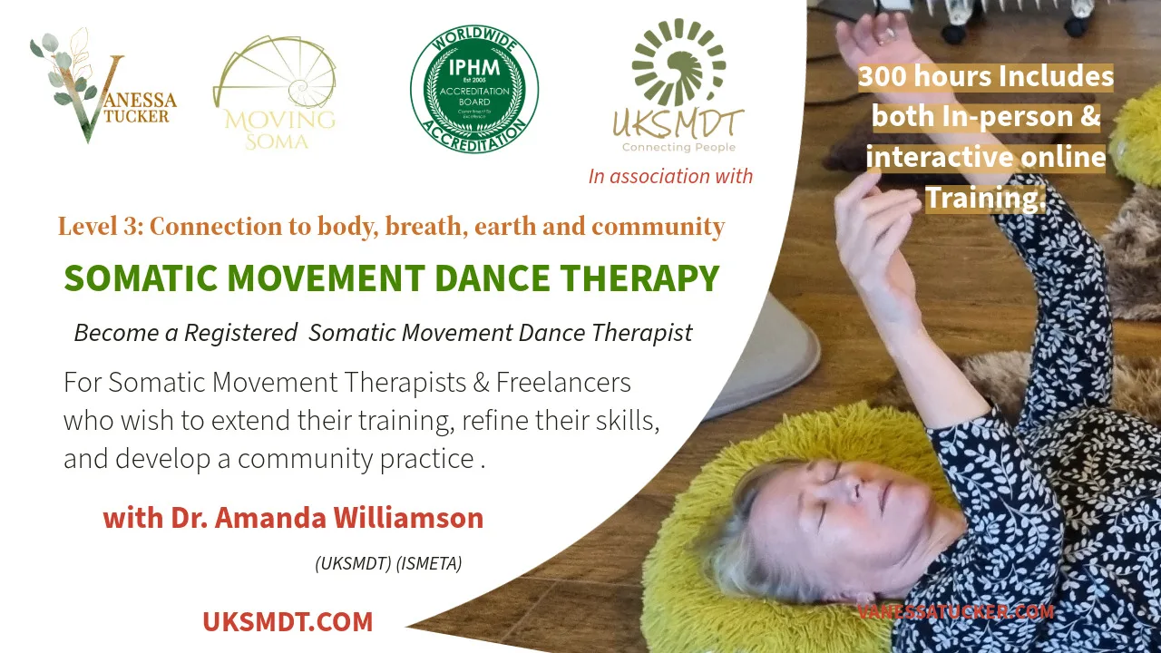 somatic movement dance therapy level 3 course somatic movement dance therapy level 3 course